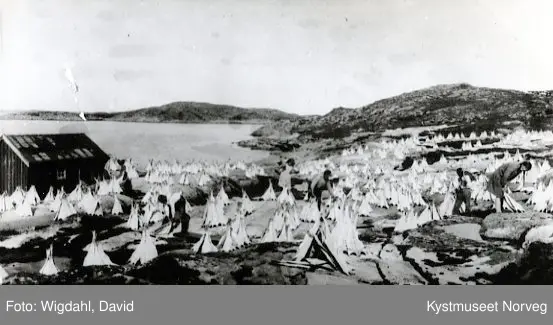 Klippfisktørk på Valøya
