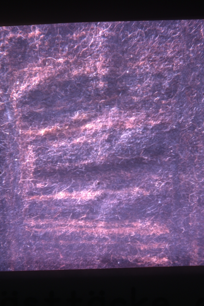 Täcke