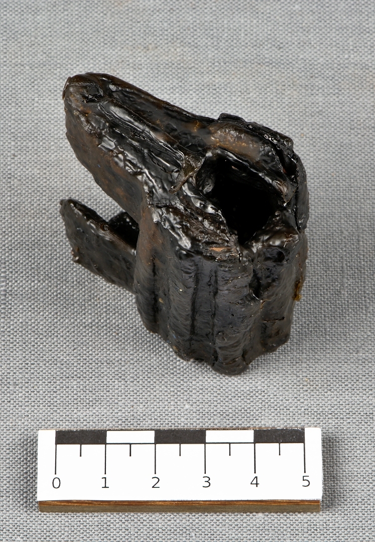 Ett bygellås av järn.