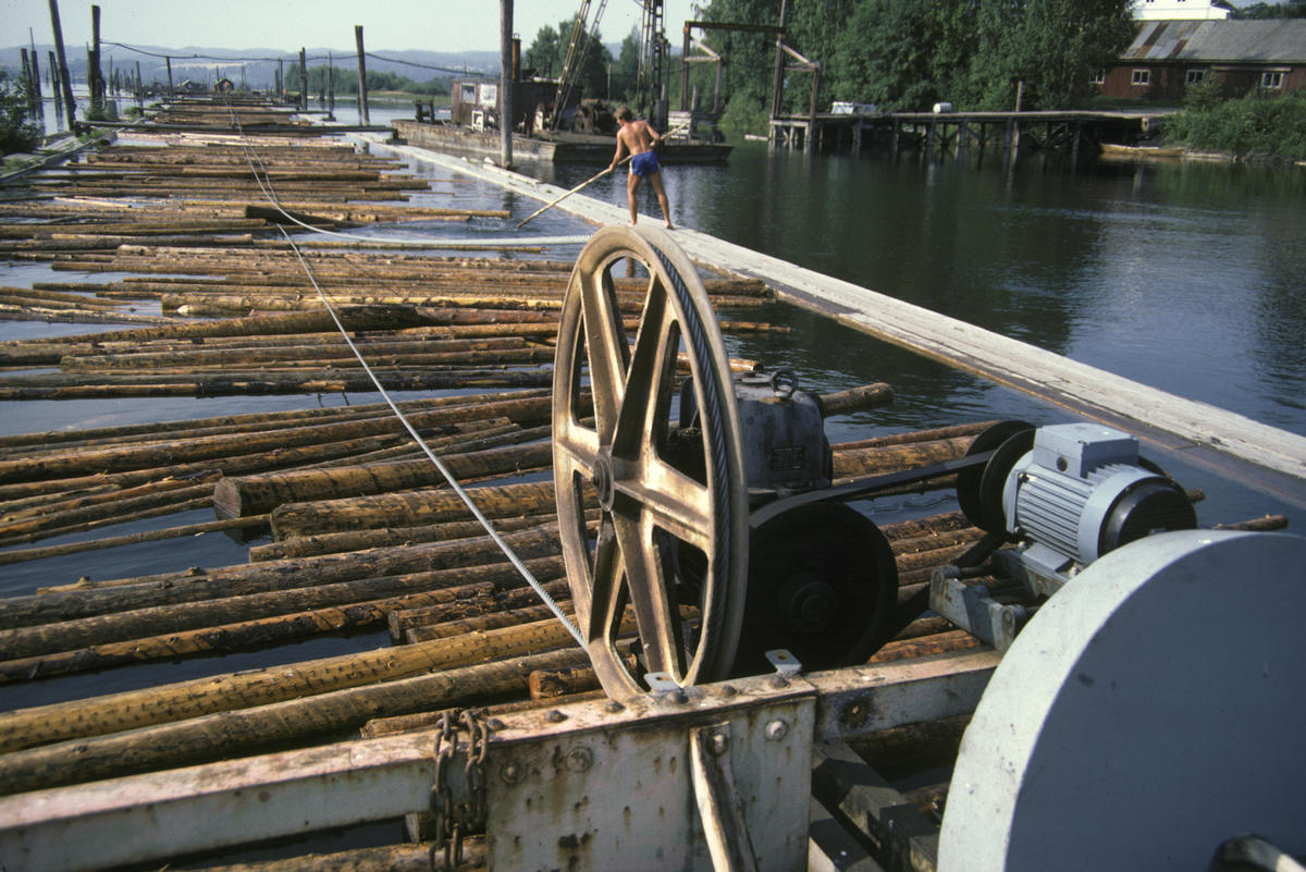 Foto: O. T. Ljøstad/Anno Norsk Skogmuseum