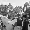 Värmländskt bondbröllop på Skansen.