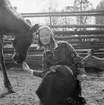 Fröken Skansen 1968, Gunnel Bergström.