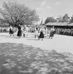 Folkdansare, Skansen.