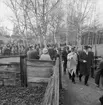 75-årsjubileet. Kungligt besök på Skansen.