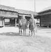 Dop av ponnyföl, Skansen