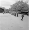 Kyrkans dag på Skansen.