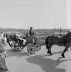 Kyrkans dag på Skansen. Brudpar på Sollidenscenen.