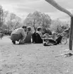 Besökare på Skansen. Barnfamilj.