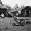 Festlighet vid Laxbrostuga, Skansen. Troligen allmogbröllop.