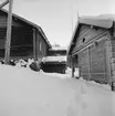 Vinterbild, Skansen. Älvrosgården