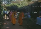 Bilden visar två buddistmunkar på promenad genom Colombos djurpark.