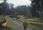 Älvsnabbens besättningsmän besöker den botaniska trädgården i Colombo.