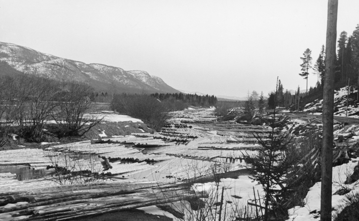 Vårbilde fra elva Nordre Rena i Øvre Rendalen i Hedmark.  Fotografiet viser hvordan mye av fløtingstømmeret ble lagt i florer med lengderetningen paralelt med strømretningen.  På opptakstidspunktet var snøen og isen i ferd med å smelte, men virket lå fortsatt slik det var opplagt for «annamming».  I forgrunnen ligger også enkelte stokker på land. Til høyre på bildet ses en skrånende elvebredd med gran- og furuskog.  Til venstre ei flat engslette med ei utløe i det fjerne.  Lengre bak en litt glissent skogkledd ås. Nordre Renas meandrerende løp gjennom Kvarsevja ble, med bistand fra Vassdragsvesenet, forsøkt «gjennomstukket» - utrettet ved kanalisering - i 1934-35, men i flomperider viste elva en tilbøyelighet til å grave seg i retning av sitt gamle far. Dette problemet ble forsøkt løst ved steinsetting. I 1965, da Stortinget behandlet Glommen og Laagens Brukseierforenings søknad om å overføre vann fra Glomma til Rendalen med sikte på kraftproduksjon, forsøkte både kommunen, grunneierne og konsesjonssøkeren å fremme prosjektet ved å vise til at ytterligere kanalisering av Kvarsevja kunne drenere 12 000 dekar med vassjuk mark til beste for jordbruket i bygda. Denne argumentasjonen ble ytterligere styrket i forbindelse med at Industridepartementet i 1967 aksepterte at kraftverket kunne flyttes litt lengre sørover enn opprinnelig planlagt. Avløpsvannet fra Rendalen kraftverk måtte dreneres vekk, og da var det behov for ytterligrekanalisering i Kvarsevja. Det endte imidlertid med at utbyggerne valgte et tredje og sørligere alternativ, som gjorde ytterligere kanalisering uaktuelt. Større vannføring i det nedenforliggende vassdraget innebar vel egentlig at dreneringsmulighetene ble vanskeliggjort.