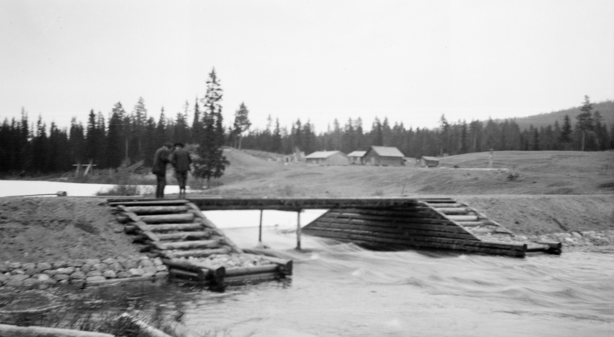 To menn, fotografert mens de sto i en samtale på dambrua ved den nordre Slemsjødammen, altså ved utløpet av Nordre Slemsjøen i Åmot. Bildet later til å være tatt en dag med flom, men det ene damløpet sto åpent. Det er noe uklart om dette var en nåledam eller lukedam. Dette framgår imidlertid av SJF.1990-01739, som viser samme dam, satt med «nåler», planker som ble stilt tett i tett, som en vegg mellom en terskelstokk på botnen av damløpet og motstrøms side av dambrua. Løpet var så bredt at man hadde funnet det nødvendig å gi bjelkebrua mellom damkarene en understøtning på midten. Damkarene var steinfylte tømmerkistekar som var nedoverskrådde fra midtpartiet mot ytterendene. Damarmene var lagd av jord og grus, og mangelen på vegetasjon i skråningene kan tyde på at de var forholdsvis ferske da dette fotografiet ble tatt, i 1921. Vannlinja på nedre del av damarmene var steinsatt, antakelig for å forebygge erosjon ved bølgeslag. På østre elvebredd, til høyre på bildet, ser vi et lite tun omgitt av engarealer. Dette er antakelig småbruket Nordre Dambua.