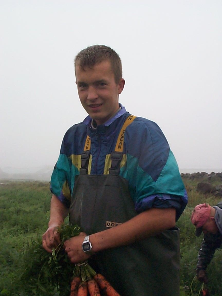Feltarbeid 15. august 2000: Ta opp gulrot for bunting på Vik i Klepp, Jæren. Vasking av gulrot i buntar. To kopplam. Blomkålåker.