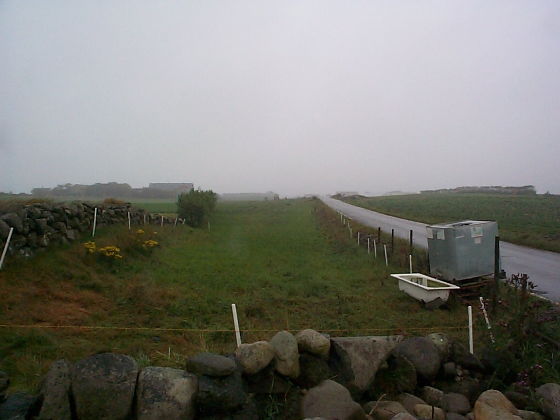 Feltarbeid 15. august 2000: Ta opp gulrot for bunting på Vik i Klepp, Jæren. Vasking av gulrot i buntar. To kopplam. Blomkålåker.