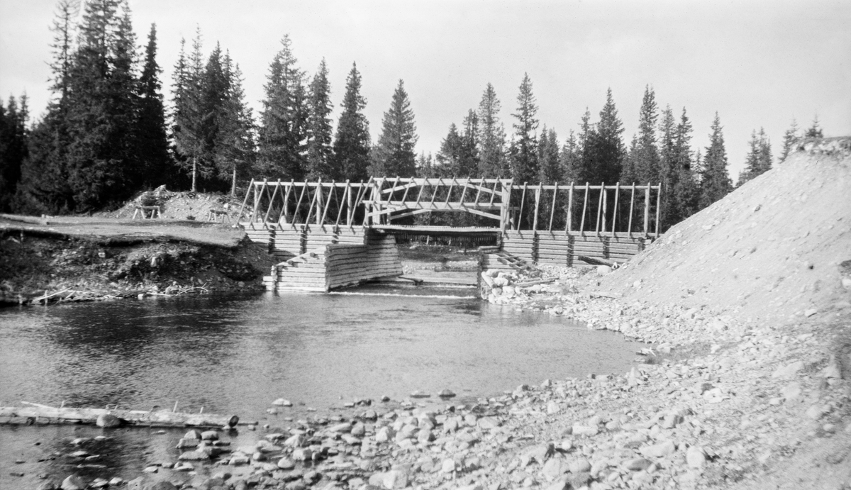 Buøydammen i elva Slemma, som har sine kilder i Rendalen, men renner sørover i inn i Åmot, hvor den munner ut i nordenden av Osensjøen. Buøydammen ligger på Åmot-sida av kommunegrensa. Dette var en tømmerkistedam, altså en konstruksjon der damkarenen var bygd av laftetømmer og fylt med stein, som skulle bidra til at dammen sto støtt, også når det var flom og mye tømmer i vassdraget. Byøydammen hadde ett løp, som var forlenget med «skådammer» på «luftsida». Disse skådammene skulle lede tømmeret godt og vel forbi tømmerkistekarene. I botnen av damløpet skimter vi ei «golving», som skulle hindre at stokkene satte seg fast i denne trange passasjen og forbygge erosjon. Både damkarene og dambrua hadde fått sperrer til et tak som skulle beskytte mot nedbør, og dermed mot rask utvikling av råteskader, da dette fotografiet ble tatt. Takkonstruksjonen manglet tekking. På to andre fotografier som ble tatt i 1935, cirka 16 år seinere, mangler fortsatt dette taket, og en kan derfor lure på om det noensinne ble lagt (jfr. SJF.1989-03180 og SJF.1997-00115). Også skådammene på begge sider av det ytre damløpet hadde sperrer for pulttak, som heller ikke var tekket da dette fotografiet ble tatt. Ut fra dette fotografiet er det ikke mulig å lese hvorvidt Buøydammen var tiltenkt luke- eller nålestengsel.