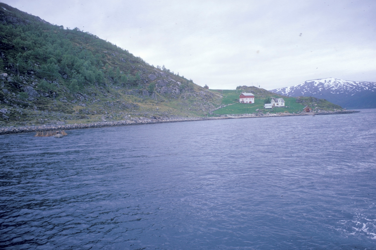 Kvaløya : Et lite småbruk på Kvaløya ved Tromsø. På fjorden er det en liten båt som sleper ei merde.