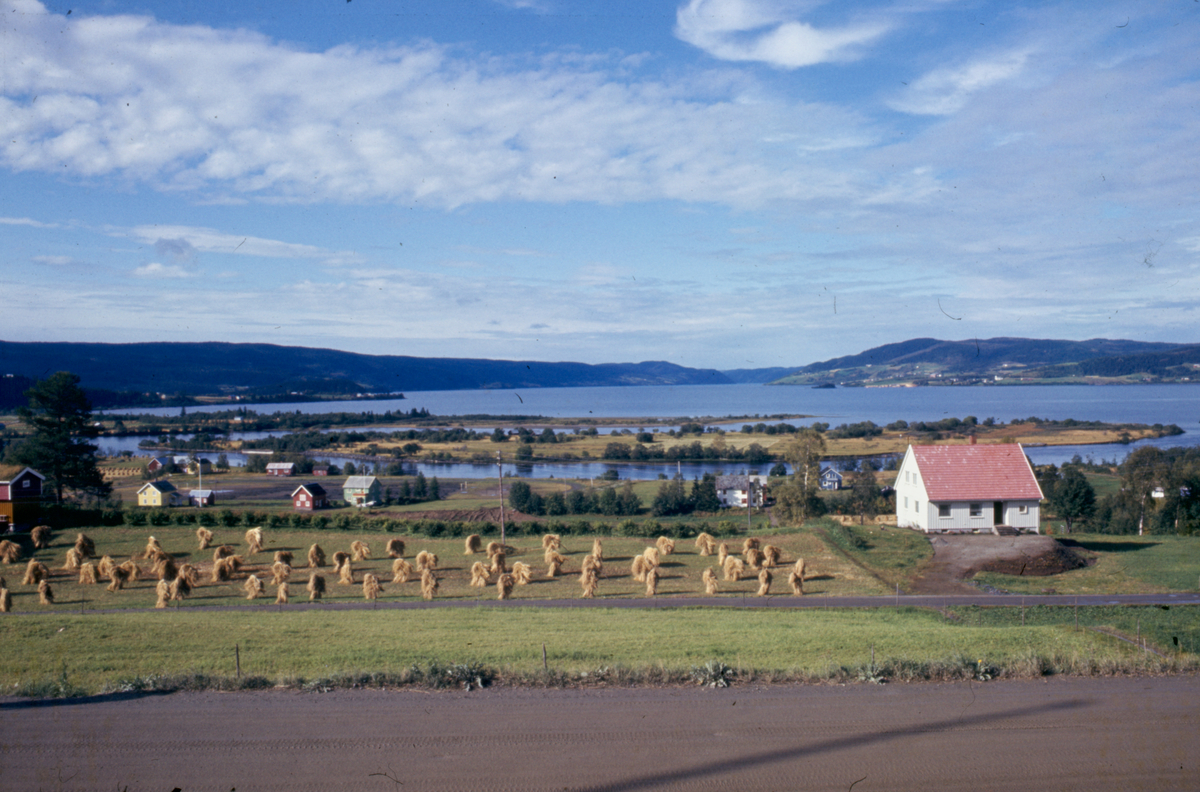 Selbusjøen.