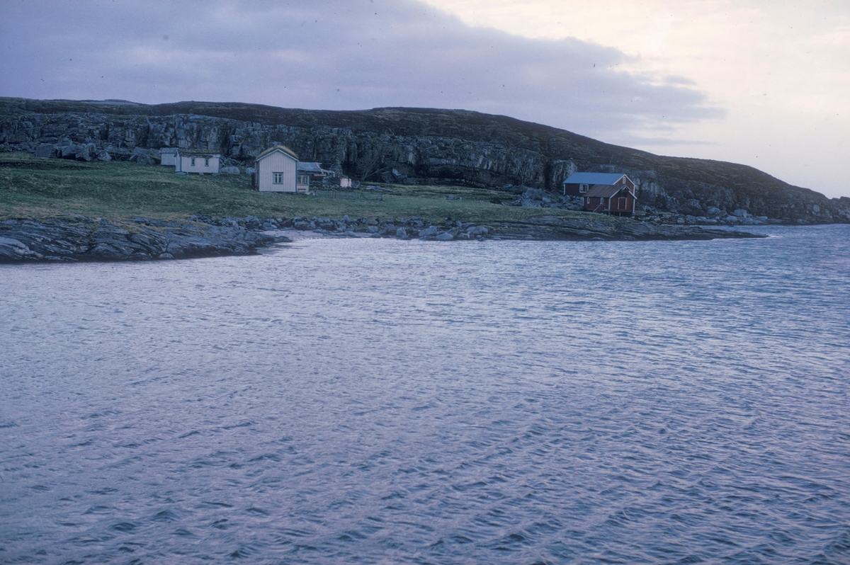 Lurøy, 1972 : Landskap og bebyggelse på Lurøy. Gården tilhørte Hans Petter Meland. En av oppdrettspionerene på Lovund.