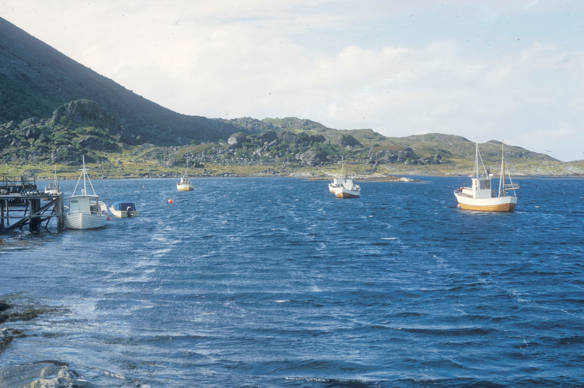 Lovund seminar, 1972 : Fiskebåter ligger oppankret utenfor ei havn.