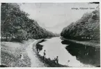 Säterbo sn, Arboga kn, Hjälmare kanal.
Fyra bröder Selander fiskar i Hjälmare kanal. 1920-talet.