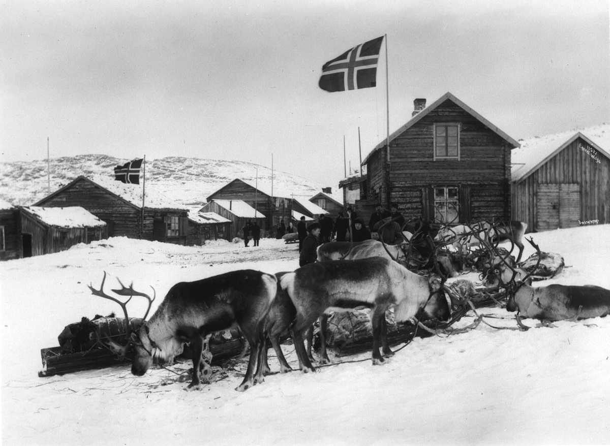 Bosekop - Lappemarked, reinsdyr og samer