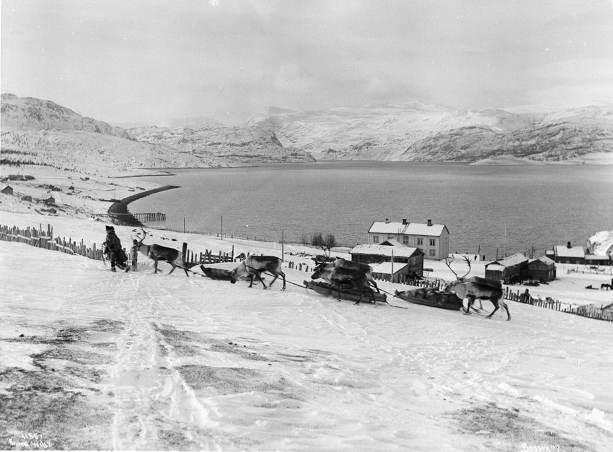 Bosekop - panorama - vakkert vinterlandskap - samer med reinsdyr