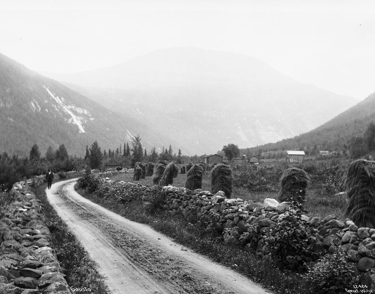 Prot: Vestfjorddalen Gaustad med Veiparti 5/9 1910