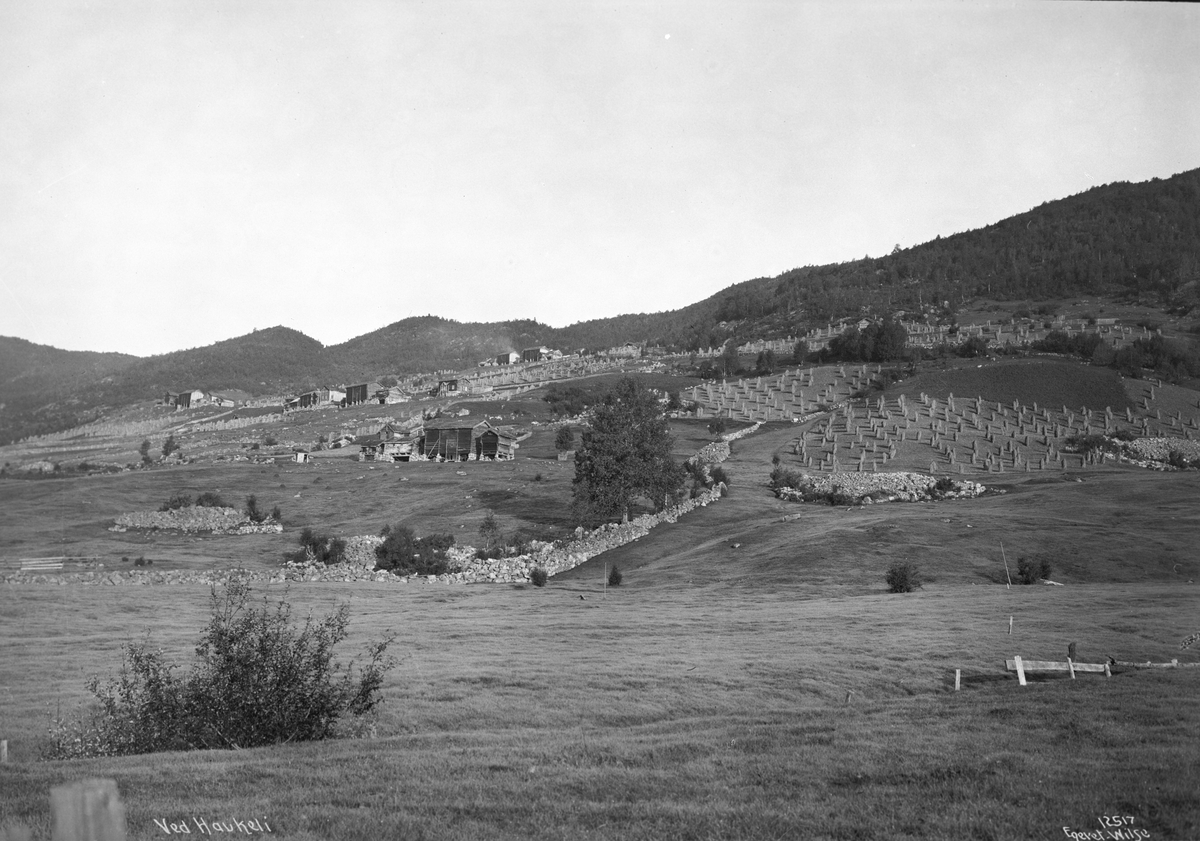Gårder ved Haukeli, Vinje, Telemark.