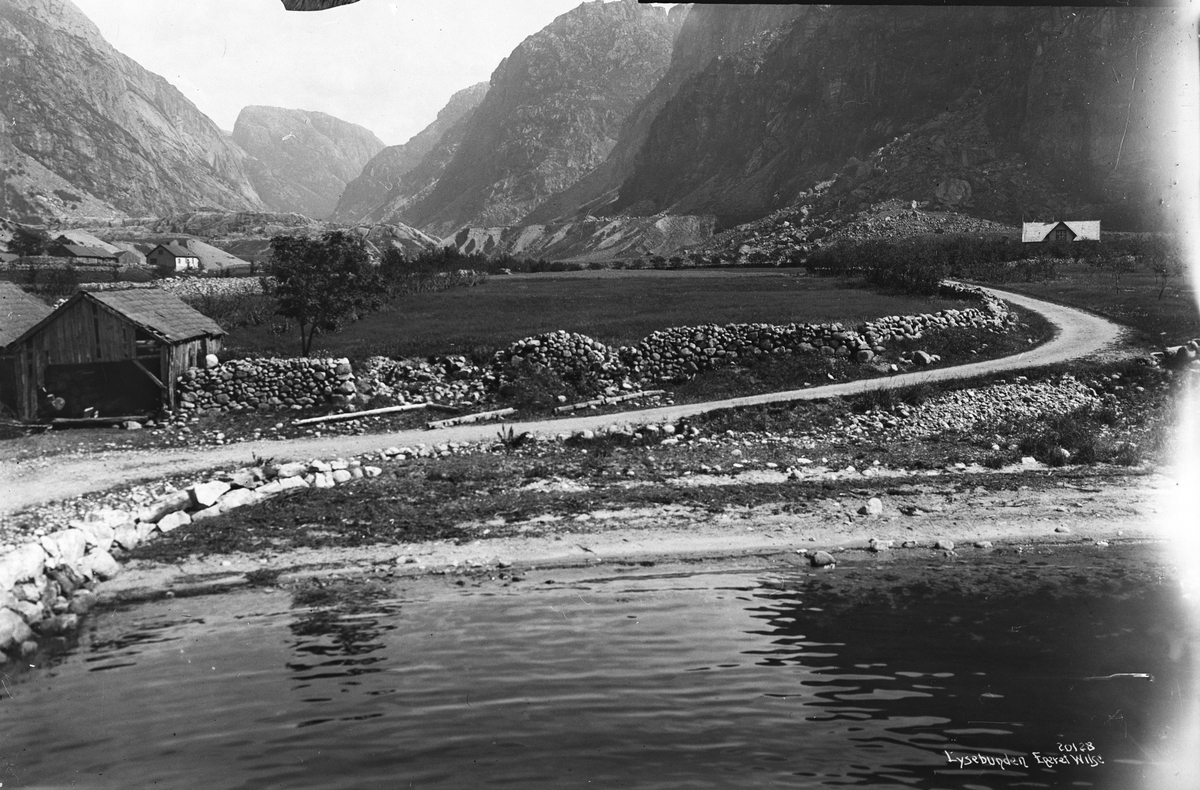 Prot: Lysebunden fra fjorden