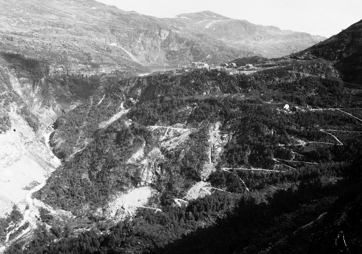 Flåmsbana går fra Myrdal på Bergensbanen til Flåm. Banen ble tatt i bruk midlertidig i 1940, fikk ordinær drift i 1942 og ble elektrifisert i 1944.

Flåmsbana med 55 promille stigning er den bratteste jernbanen på det offentlige nettet. Banen er sammen med Hardangerbana de eneste som offisielt har banenavn med a-endelse.

Flåm Utvikling AS er fra 1. mars 1998 ansvarlig for persontrafikken på banen med NSB AS som operatør.

Flåmsbana representerer de ingeniørtekniske storverkene i norsk jernbanebygging, og banen er derfor i Landsverneplan for jernbanen foreslått vedlikeholdt slik at de historiske elementene ivaretas på en best mulig måte. Anleggsvegen fra Berekvam til Myrdal er foreslått vernet i samme plan.
