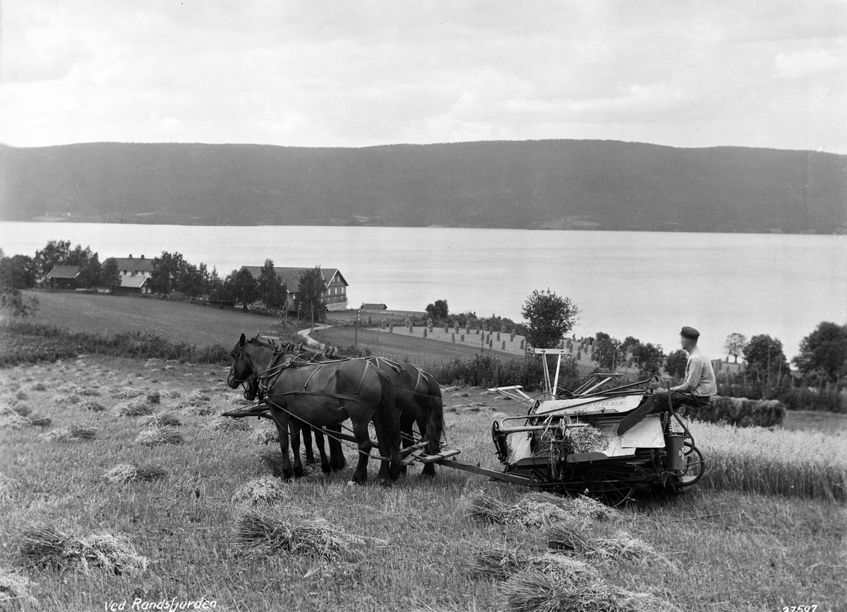 Prot: Hadeland - Haug gaard med selvbinder