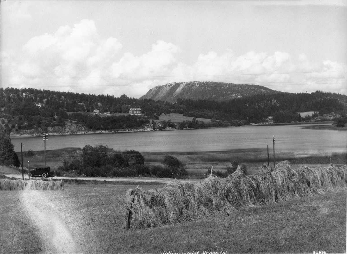 Prot: Heggedal, Gjellumvandet