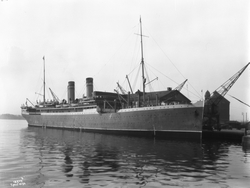 Prot: Amerikalinjens varehus