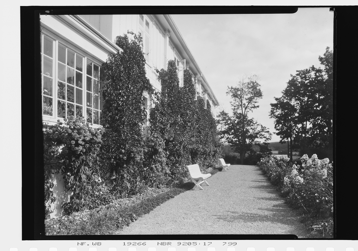 Benker i hagen, Skansgården. Fotografert 1925.