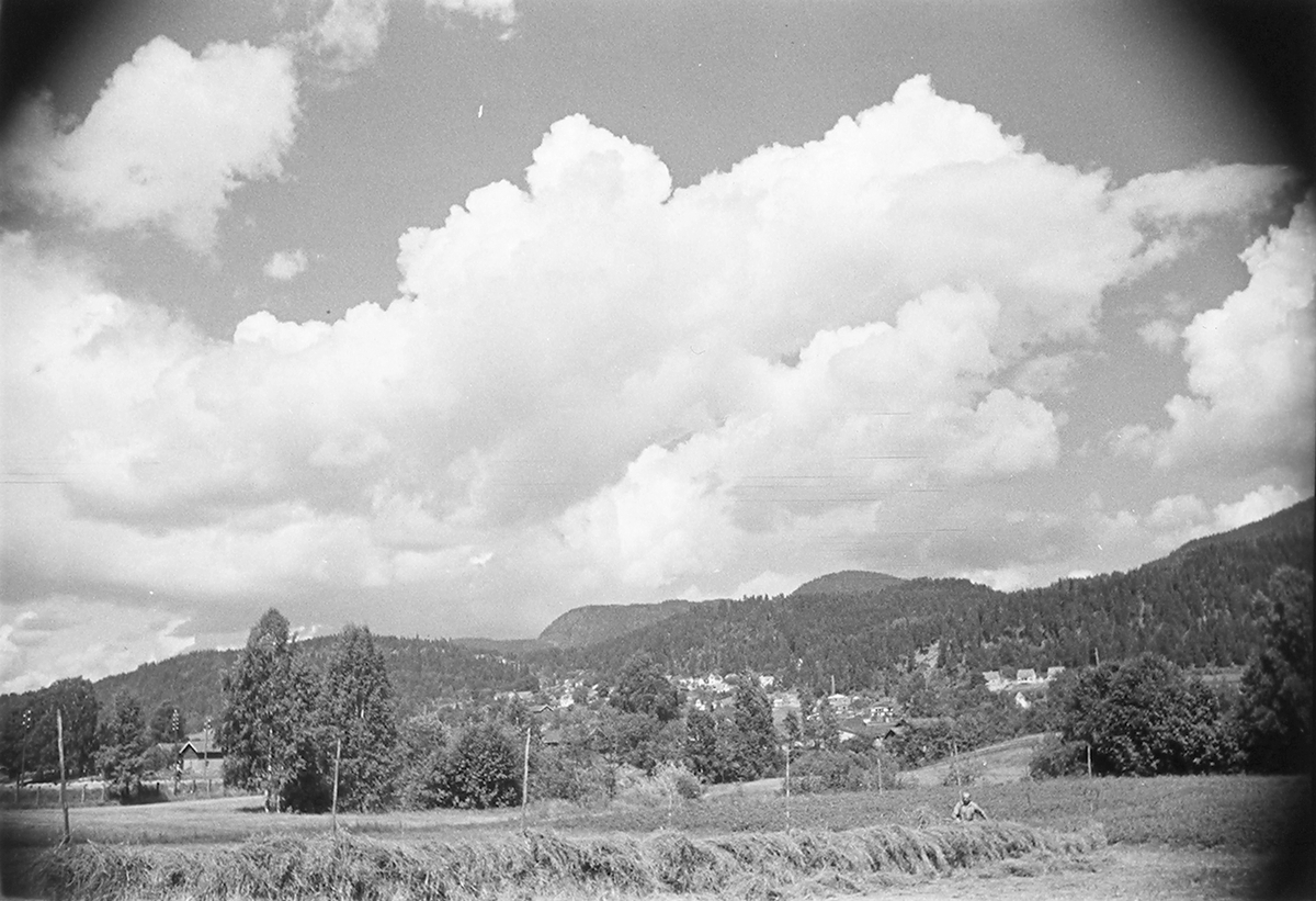 Landskap med hesjer. Antatt Mjøndalen, Drammen. Fotografert 1940.