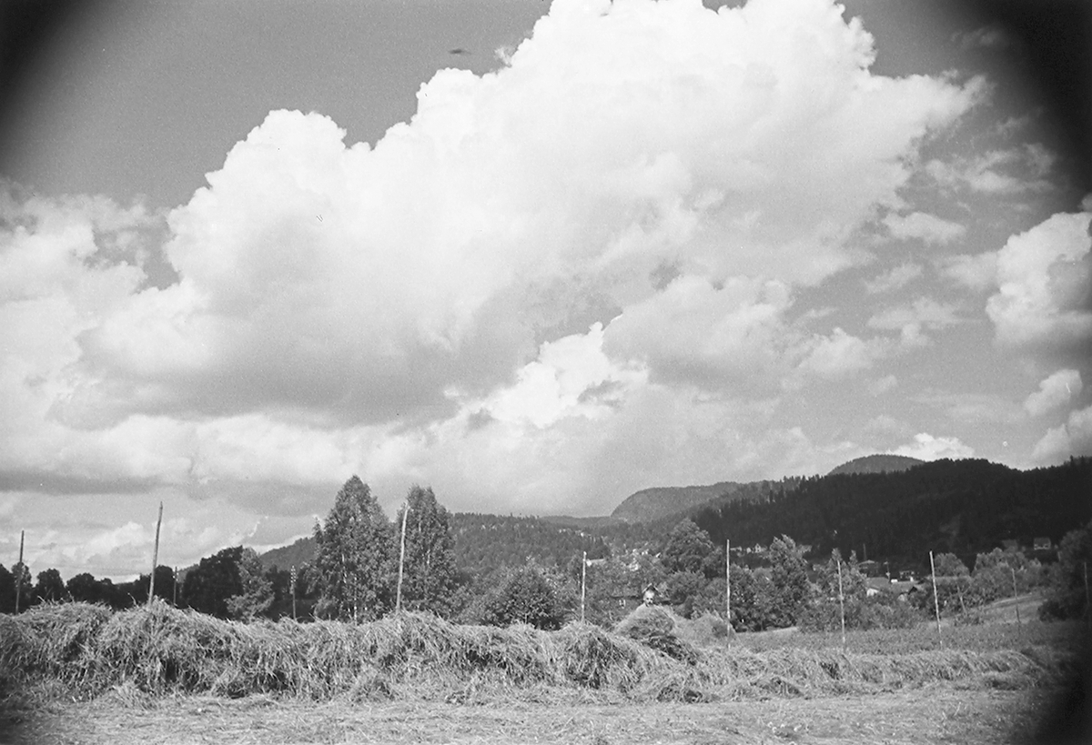 Mann som hesjer i høyonna. Mjøndalen, Drammen. Fotografert 1940.