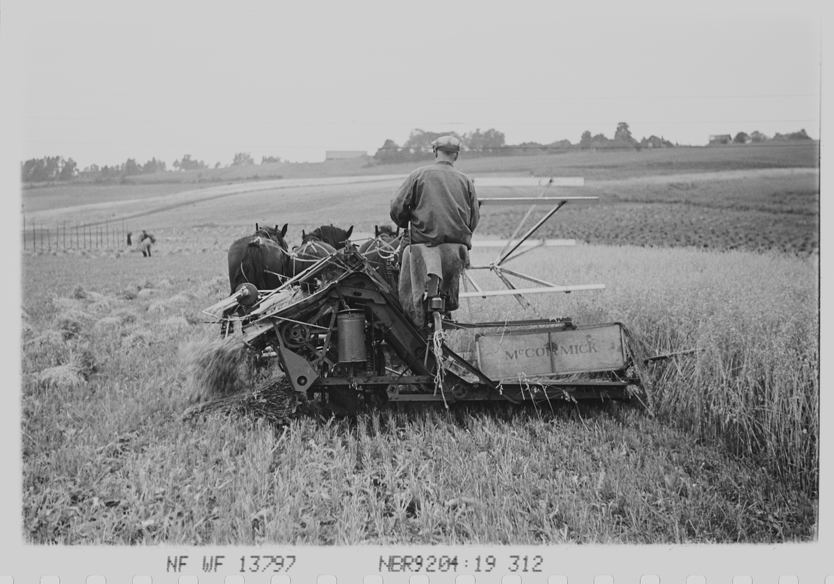 Slåing av åker med hest og slåmaskin, Mc Cormick. Haugsbygda, Ringerike. Fotografert 1940.