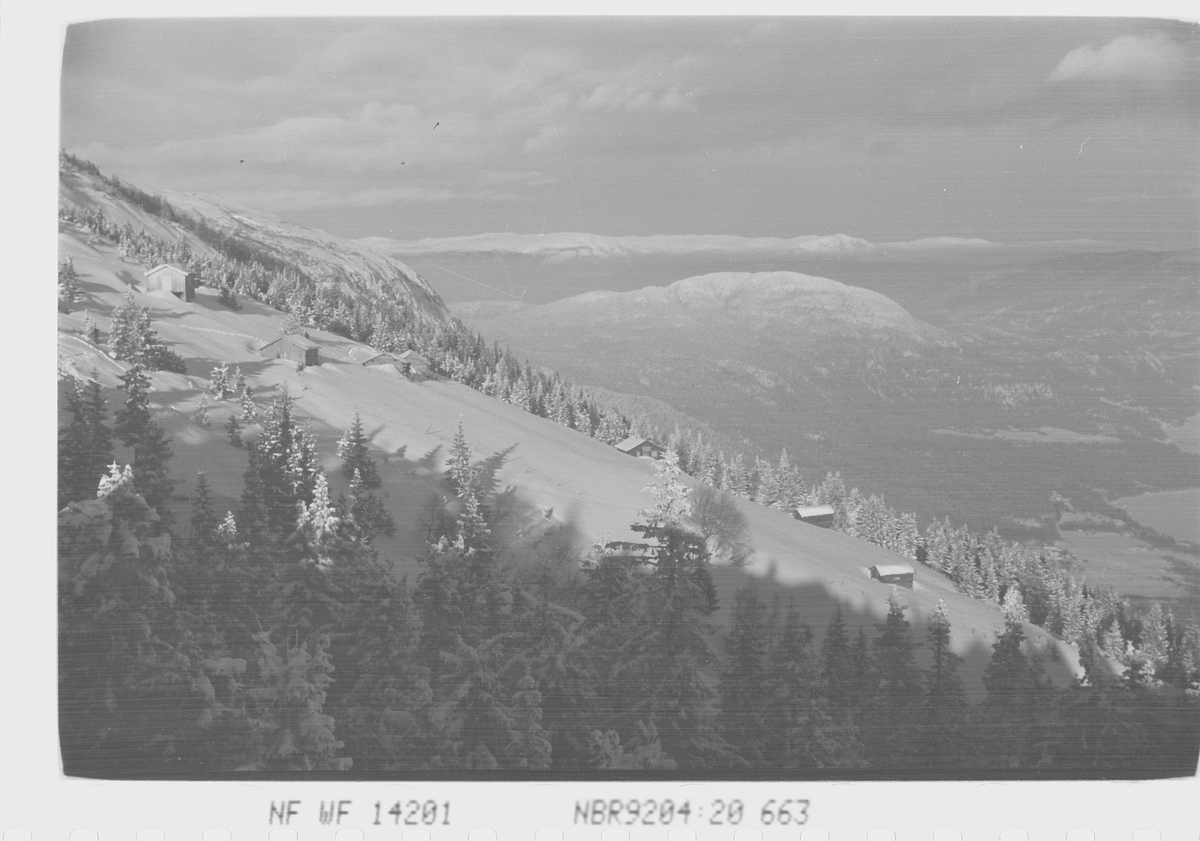 Vinterlandskap  på Norefjell, Krødsherad, Viken. Fotografert 1941.