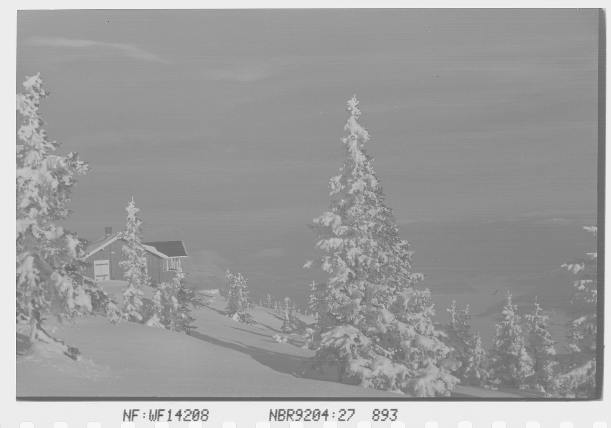 Hytte i vinterlandskap på Norefjell, Krødsherad, Viken. Fotografert 1941.