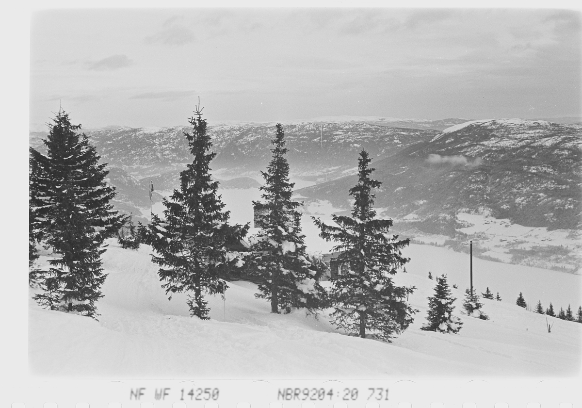 Utsikt fra Norefjell, Krødsherad. Fotografert 1941.