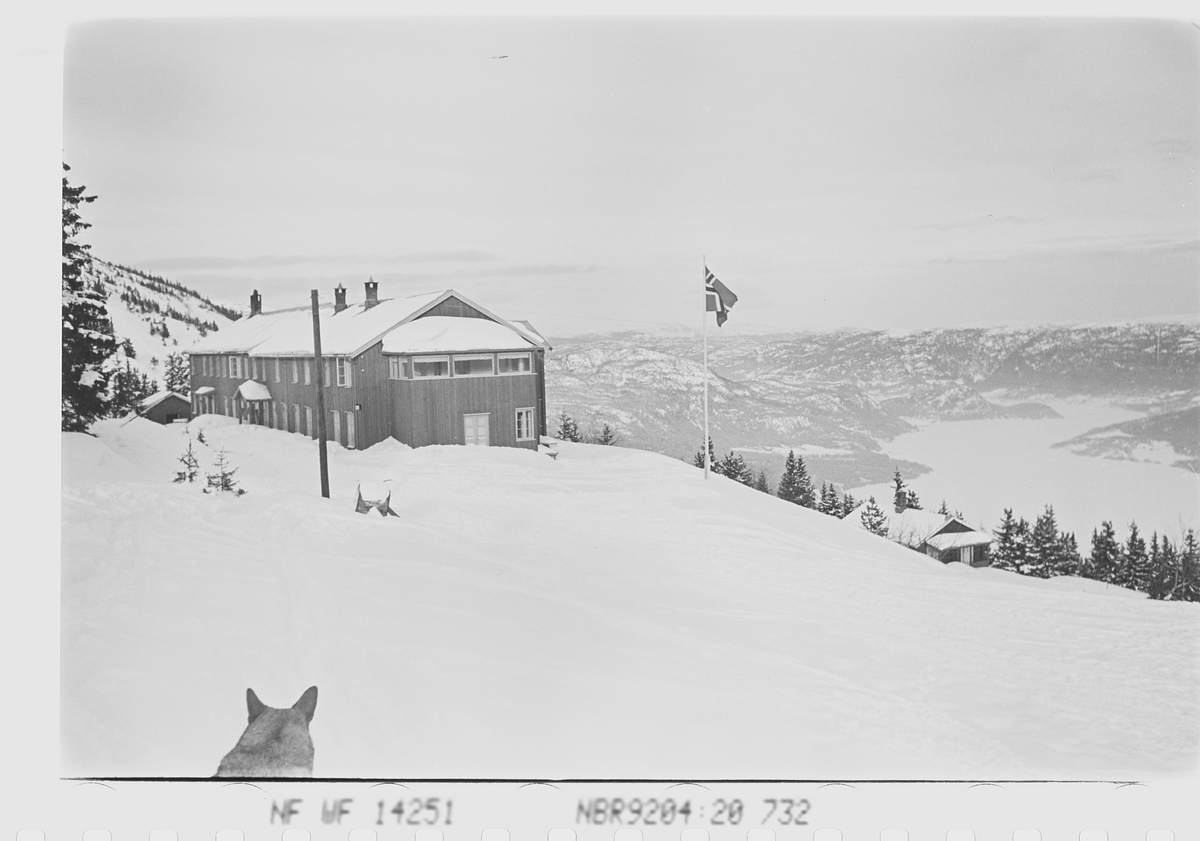 Fjellhvil Hotell på Norefjell, Krødsherad. Fotografert 1941.