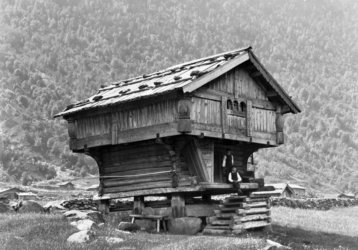 Prot: Telemarken Stabur på gården Rollag, skog i Bakgrund