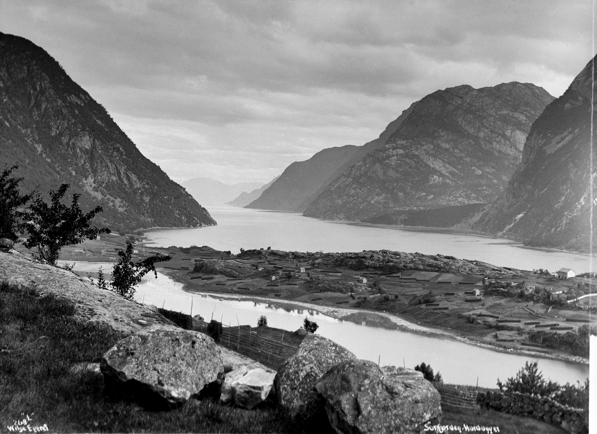 Prot: Hardanger. Parti af Sørfjorden seet fra Knudsens gartneri