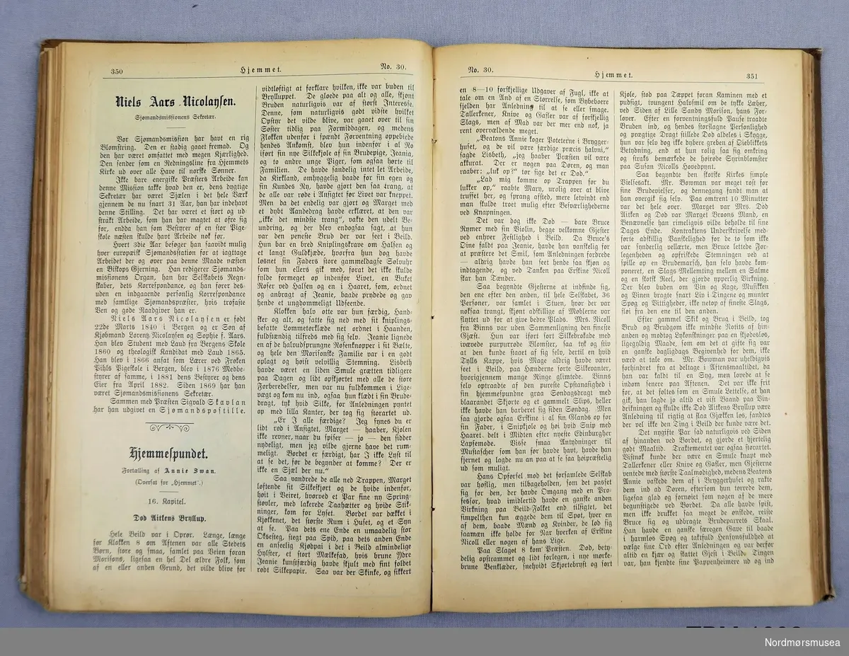 Pent innbunden bok med årgang 1900 av bladet Hjemmet,
Brune, stive permar med djuptrykte bordar i bleika gull.
Gotisk skrift.