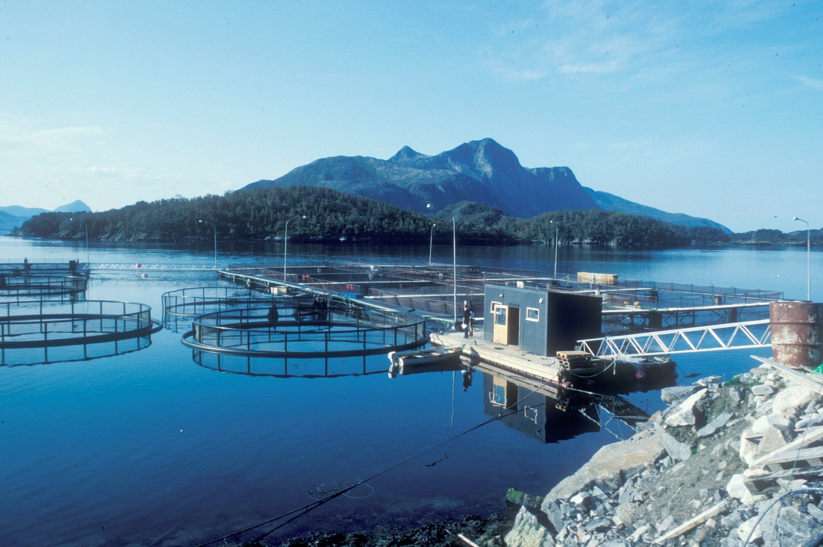 Meløy, 1983 : Stålanlegg og plastmerder på sjøen. Fjell i bakgrunnen.