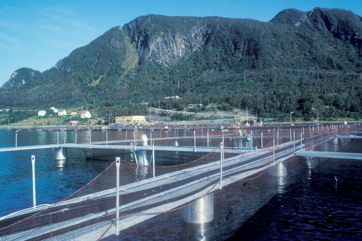 Meløy, 1983 : Stort stålanlegg på sjøen. I bakgrunnen et industribygg og bratte fjell.