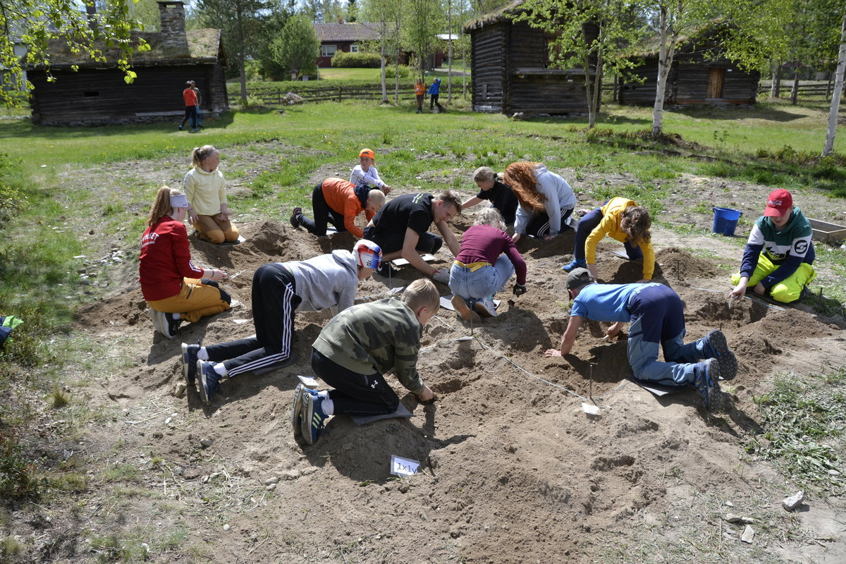 Aktivitetsdag  i Museumsparken for 6.trinn ved Tynset Barneskole 4.juni 2020.