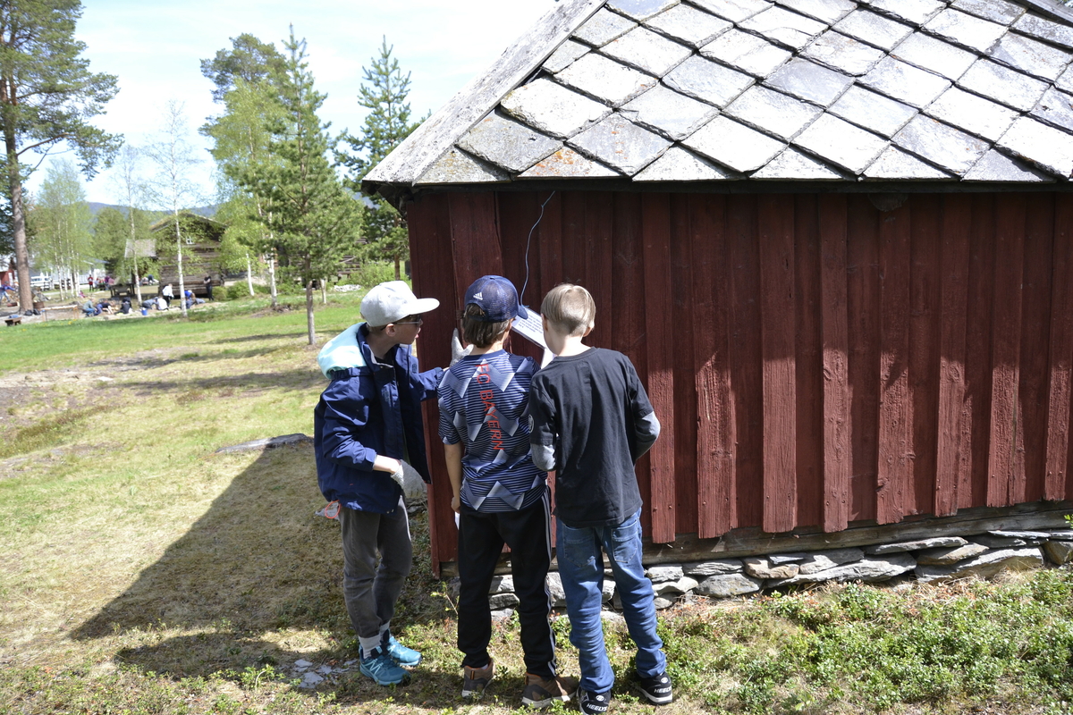 Aktivitetsdag  i Museumsparken for 6.trinn ved Tynset Barneskole 4.juni 2020.